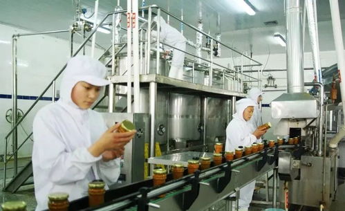 户外品牌防寒装备全解析
