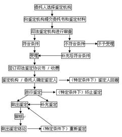 查酒店记录需要多长时间？详解流程与因素