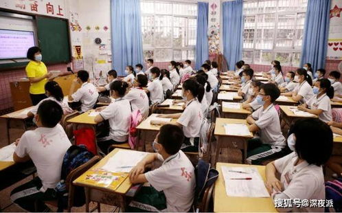 男孩小学毕业做什么好赚钱？探讨与解析