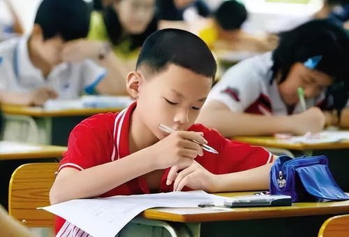 男孩小学毕业做什么好赚钱？探讨与解析