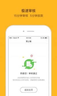 宝贝钱袋花呗提现攻略，轻松变现，理财无忧！