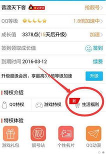 刚开通京东白条，教你轻松提现攻略！