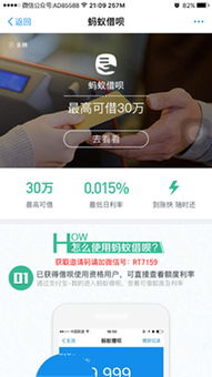刚开通花呗，怎么快速提现？新手必看攻略！