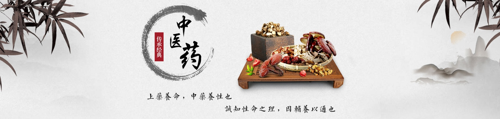 中医药品牌推广策略