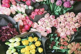 邹平微店放心花套，购物无忧之选