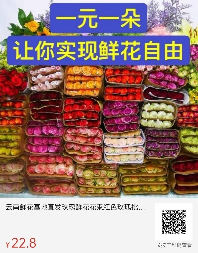 邹平微店放心花套，购物无忧之选