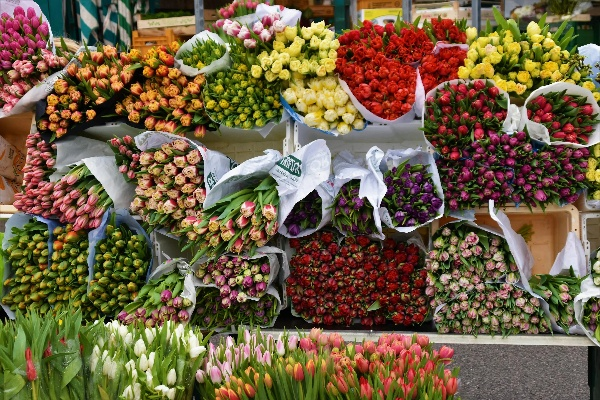 邹平微店放心花套，购物无忧之选