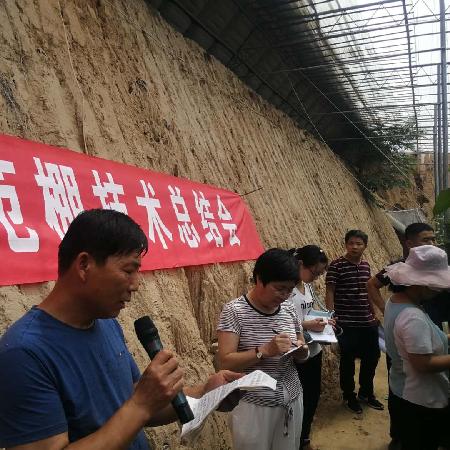 农村发展，农民致富靠什么？深度解析与实例探究