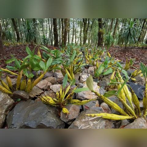 医药品牌宣传图片大全