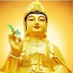 属狗人行业选择与赚钱之道