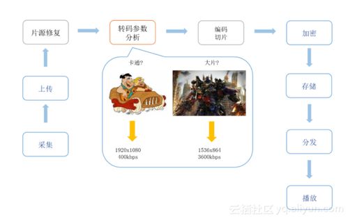 揭秘抖音月付提现的i，操作指南与常见问题解答