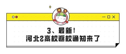 揭秘！如何巧妙查看老公微信聊天记录，安全又有效！