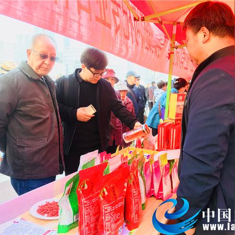 品牌落地，打造品牌影响力与市场竞争力