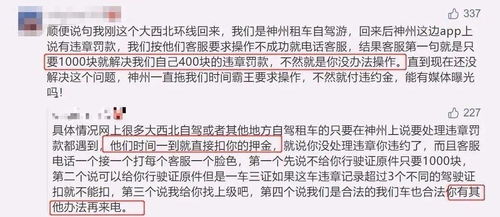 羊小咩便荔卡套出来交易受限制，揭秘背后的原因及影响