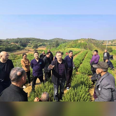 去年致富好项目大盘点，案例、趋势与行动指南