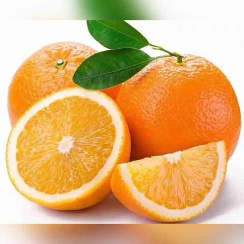 宜昌户外品牌概览