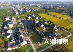 马套村的创业之路，探寻多元化的创业项目