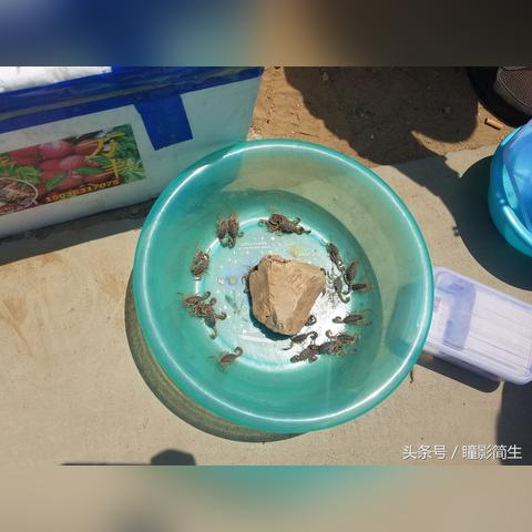 夏天广场赚钱快攻略，多元经营，把握商机