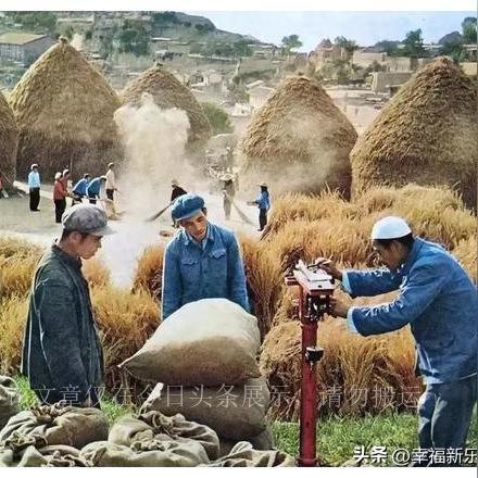 三迎食品加盟代理全攻略，手把手教你如何轻松加盟，共创双赢未来！