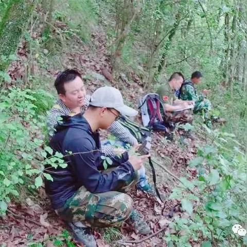 过年卖什么能快速致富？这些热门商品和项目你不得不看！