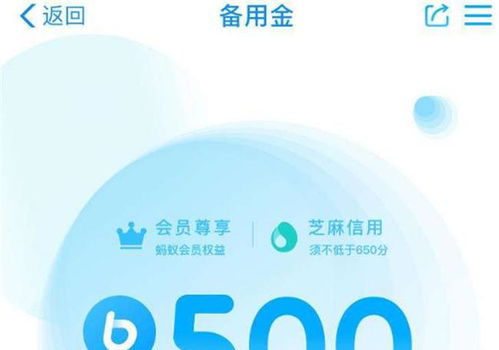 宝贝钱袋花呗提现攻略，轻松变现，告别闲置！