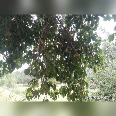 新疆做什么工地赚钱快点？详解与案例分享