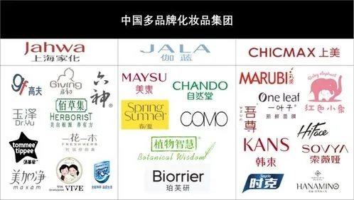 中国化妆品品牌风采录