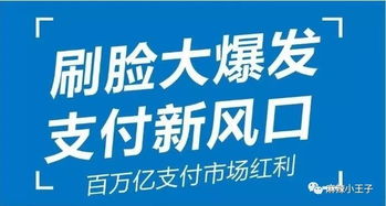 金融圈做什么工作赚钱，揭秘热门岗位与成功案例