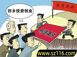 回乡创业致富之路，探寻最佳项目与策略