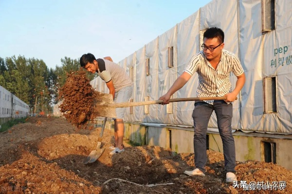 回乡创业致富之路，探寻最佳项目与策略