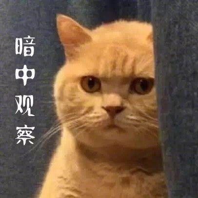 宝贝钱袋抖音月付提现攻略，轻松变现，让你的小金库鼓起来！