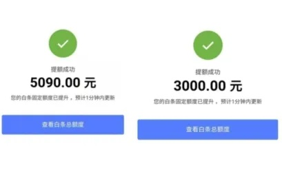 揭秘宝贝钱袋京东白条提现额度，额度多少？怎么用？