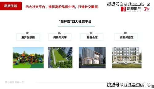 泸州品牌砂浆厂家电话与案例解析