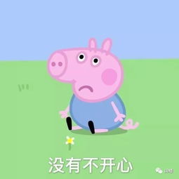 羊小咩便荔卡套出来基本几个点