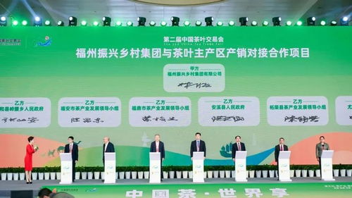南方茶叶致富项目详解，探索绿色财富之路