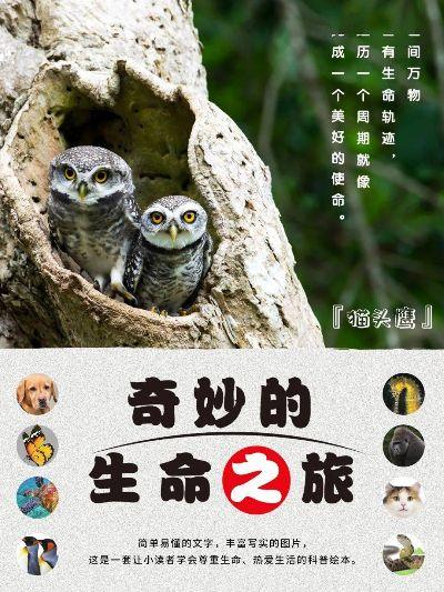 羊小咩的便荔卡之旅，一次神奇的机票套现经历