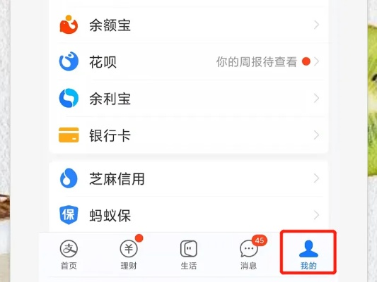支付宝如何查看我的提现额度？一步步教你操作，还有实用小贴士！