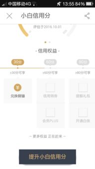 天津白条提现信誉平台全解析
