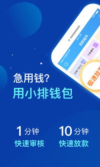 揭秘宝贝钱袋分期乐提现—轻松理财，畅享生活！