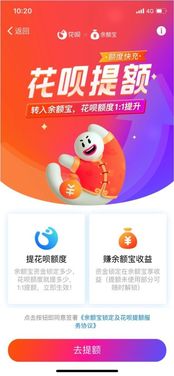 揭秘宝贝钱袋抖音月付提现额度，轻松赚钱，提现无忧！
