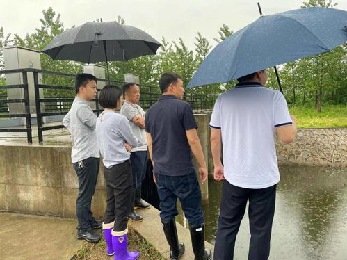羊小咩便荔卡套出来货到安全吗？揭秘网购风险与防范措施