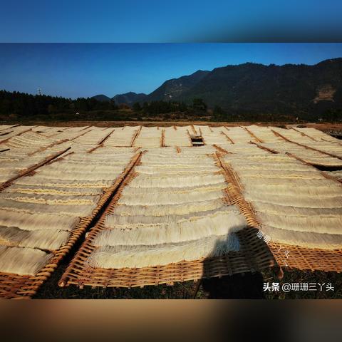 清远小作坊创业项目全解析