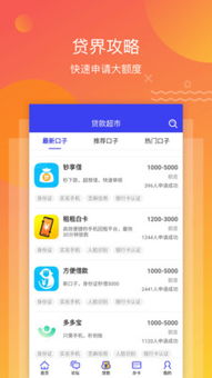 揭秘宝贝钱袋白条提现额度，额度提升攻略与案例分享