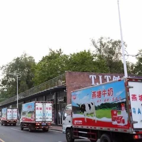 如何加盟燕塘牛奶店？从零起步到成功开店的全攻略