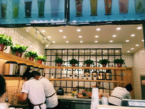 松原创业奶茶店，名字背后的故事与选择
