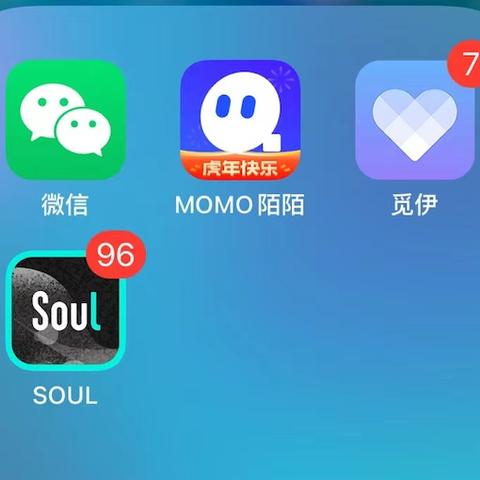 揭秘陌陌聊天记录查询，真的可以吗？