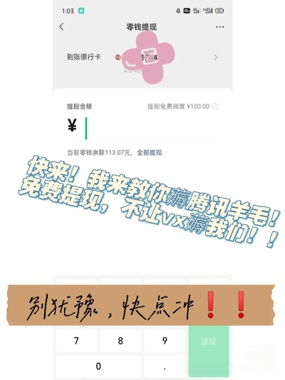 包头羊小咩便荔卡提现，速度揭秘！多久能到账？