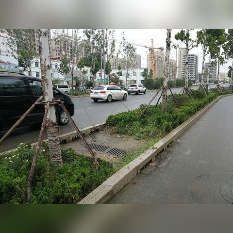 济宁家电海绵品牌大比拼，哪个更胜一筹？
