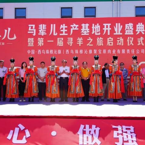 羊小咩便荔卡套出来会冻结吗？揭秘银行账户冻结那些事儿