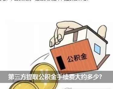 关于公积金取现手续费，一次关于三十万公积金的探讨与解析